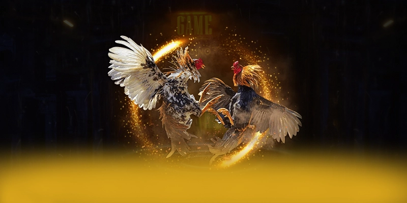 Điểm nổi bật tại KUWIN - Cổng giải trí được đánh giá cao được cộng đồng đánh giá cao
Điểm nổi bật tại KUWIN - Cổng giải trí được đánh giá cao được cộng đồng đánh giá cao