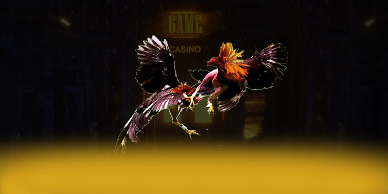 KUWIN – Trang game chất lượng, được cộng đồng đánh giá tích cực. KUWIN – Trang game chất lượng, được cộng đồng đánh giá tích cực.