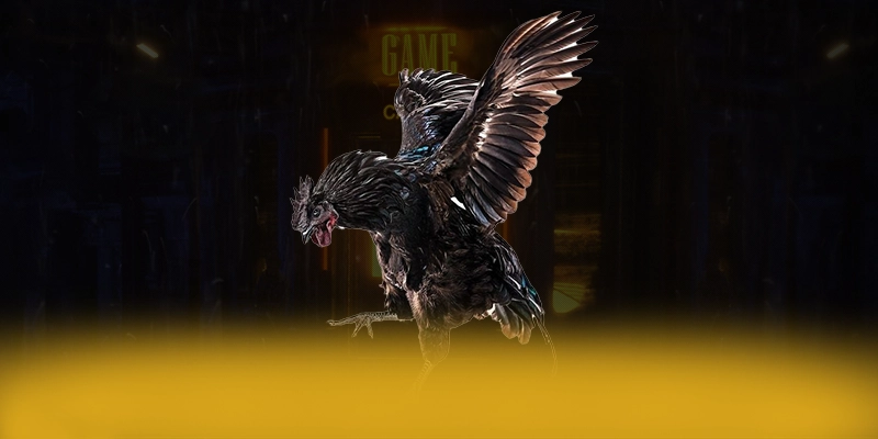 9Bet - Thương hiệu đáng trải nghiệm đang làm mưa làm gió 9Bet - Thương hiệu đáng trải nghiệm đang làm mưa làm gió