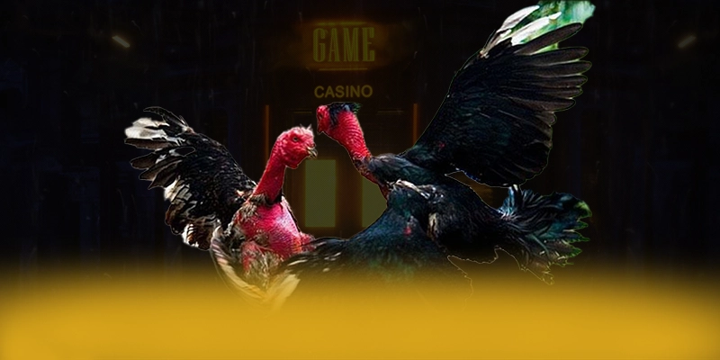 SA88 – Cổng trò chơi uy tín, đang làm mưa làm gió trên thị trường.