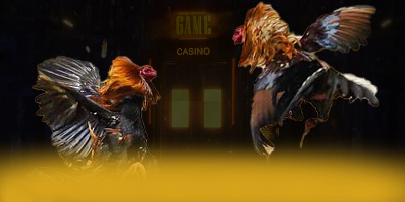 Trải nghiệm 988bet - Cổng cá cược an toàn tuyệt đối trên thị trường
Trải nghiệm 988bet - Cổng cá cược an toàn tuyệt đối trên thị trường