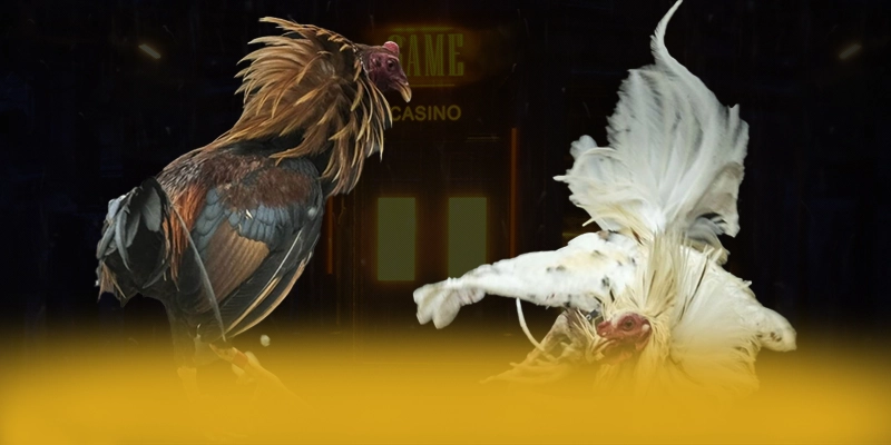 LC88 - Cổng cá cược được đánh giá cao tại Việt Nam