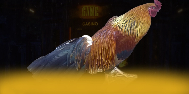 789WIN - Nền tảng cá cược cực hot hiện nay – Điểm qua 789WIN 789WIN - Nền tảng cá cược cực hot hiện nay – Điểm qua 789WIN