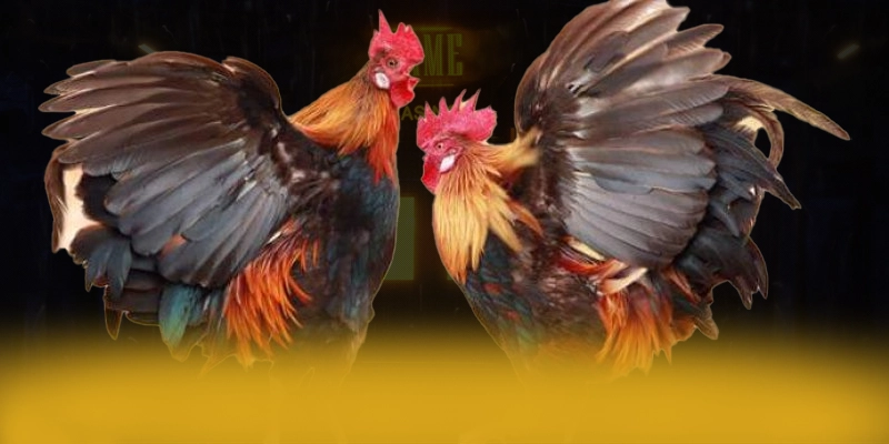 Danh mục game nổi bật ở
{conga6789|cổng game {conga6789|nhà cái {conga6789|sân chơi {conga6789|nền tảng cá cược {conga6789|thương hiệu game {conga6789|cổng giải trí {conga6789|trang game conga6789
Danh mục game nổi bật ở
{conga6789|cổng game {conga6789|nhà cái {conga6789|sân chơi {conga6789|nền tảng cá cược {conga6789|thương hiệu game {conga6789|cổng giải trí {conga6789|trang game conga6789