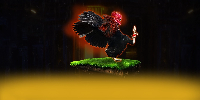 Tài xỉu online – Thương hiệu uy tín số 1, được cộng đồng đánh giá tích cực.