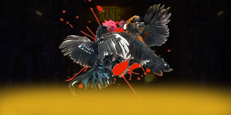 Uk88 - Hệ thống trò chơi trực tuyến sở hữu top trò chơi nổi bật được game thủ lựa chọn – Trải nghiệm siêu phẩm độc quyền tại Uk88