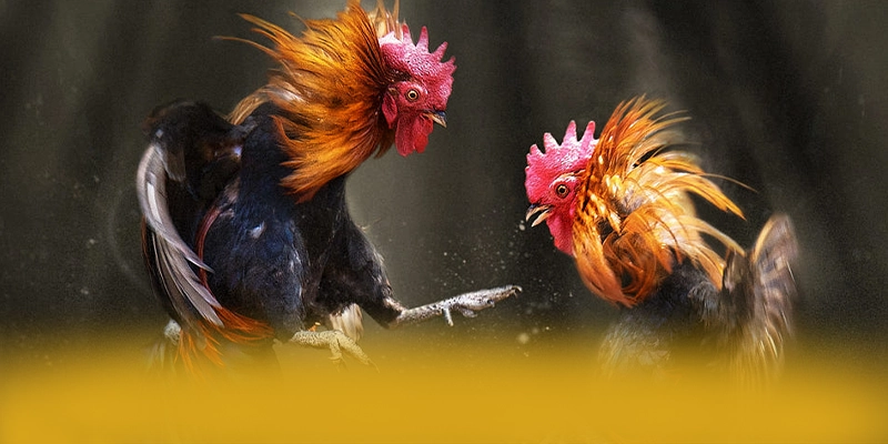 
Khám phá conga6789 - Cổng game bài được yêu thích nhất 2025
