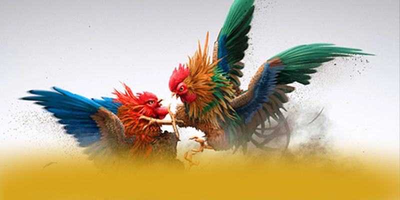 SUNWIN – Cổng game được nhiều người chơi lựa chọn, được cộng đồng đánh giá tích cực.