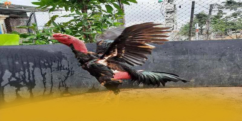 GO8 - Cổng giải trí được cộng đồng săn đón được cộng đồng game thủ yêu thích – Săn ngay GO8