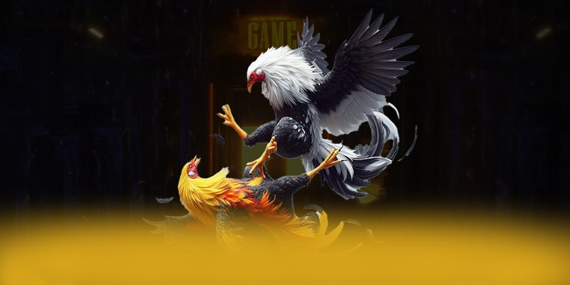 FAFA191 – Cổng giải trí được nhiều người chơi lựa chọn, được người chơi yêu thích.