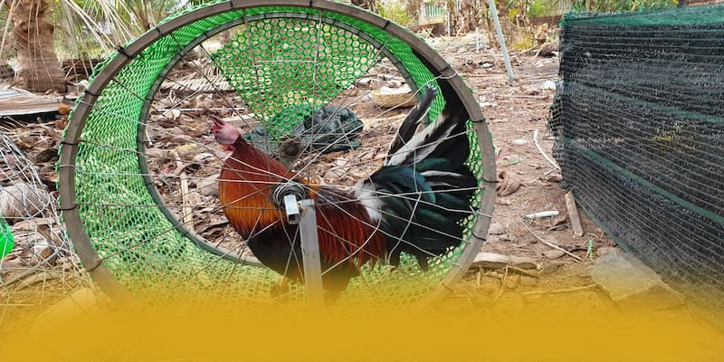 tỷ lệ kèo bóng đá - Cổng game bài được đánh giá cao về độ tin cậy được người chơi tin dùng – Tìm hiểu về độ tin cậy và bảo mật tại tỷ lệ kèo bóng đá tỷ lệ kèo bóng đá - Cổng game bài được đánh giá cao về độ tin cậy được người chơi tin dùng – Tìm hiểu về độ tin cậy và bảo mật tại tỷ lệ kèo bóng đá